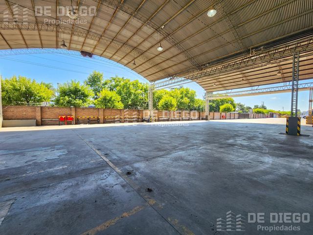 place photo 16