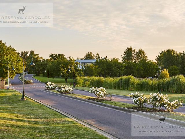 place photo 48