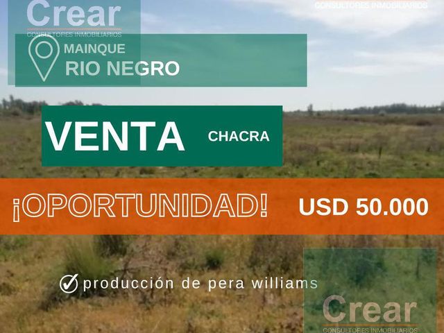 Chacra - Mainque