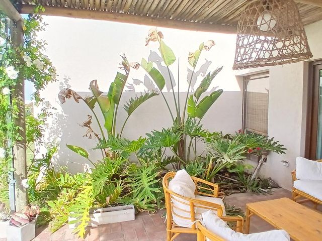 place photo 40