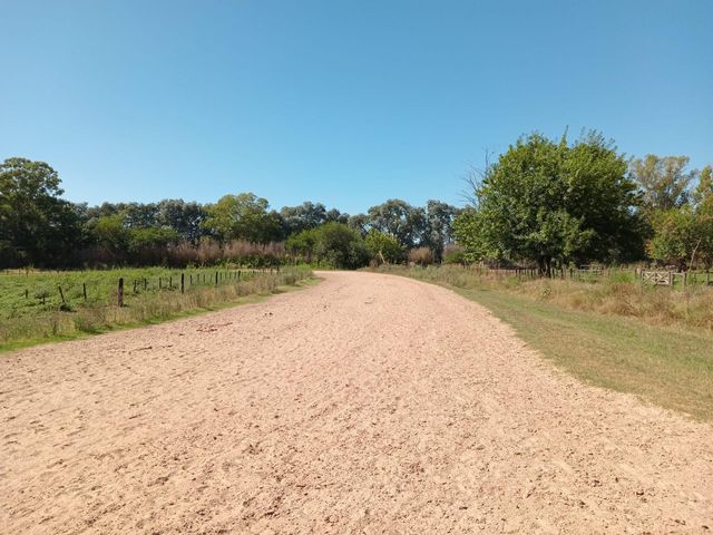 place photo 35