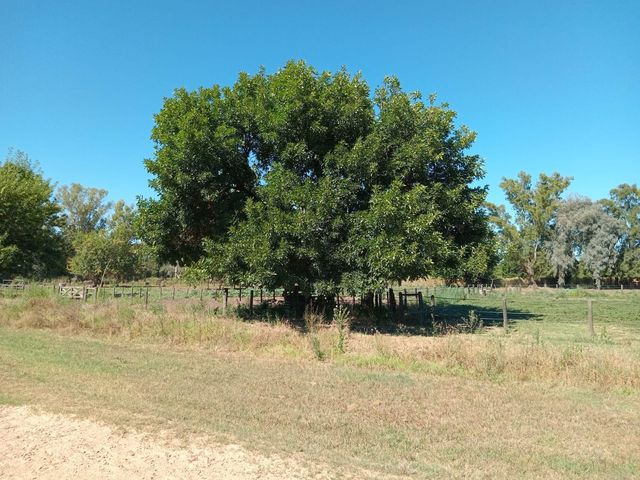place photo 34
