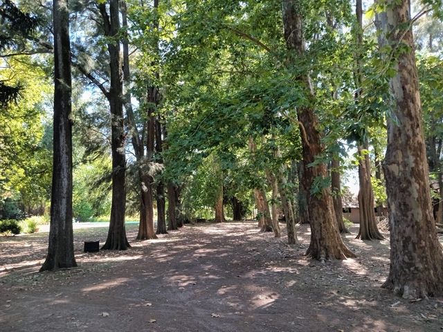 place photo 37