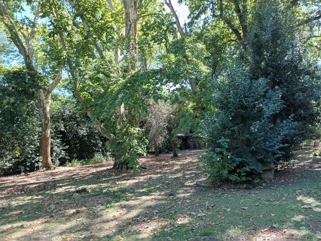place photo 47