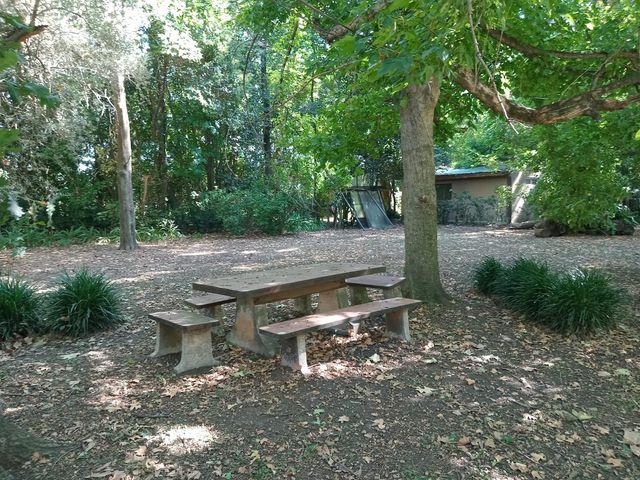 place photo 44