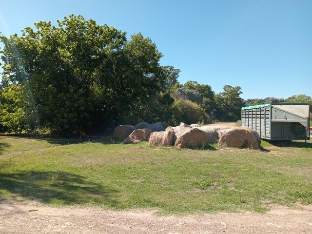 place photo 31