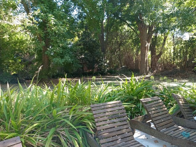 place photo 41