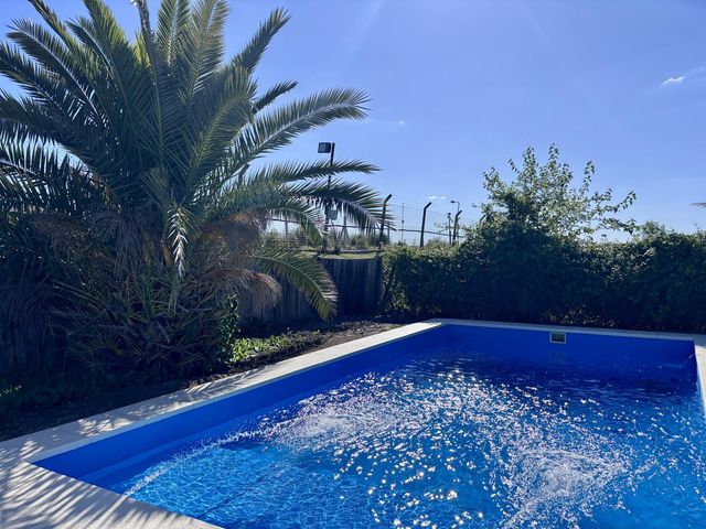 place photo 50