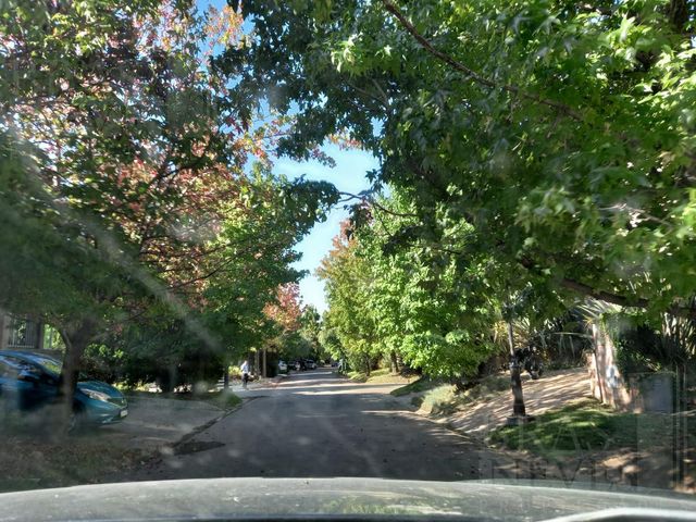 place photo 39