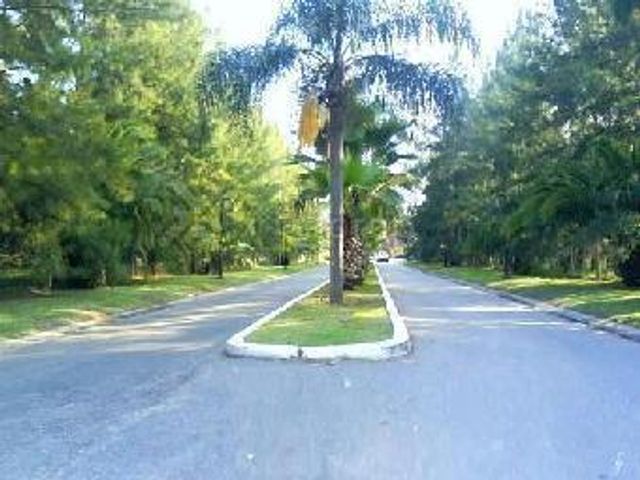 place photo 41