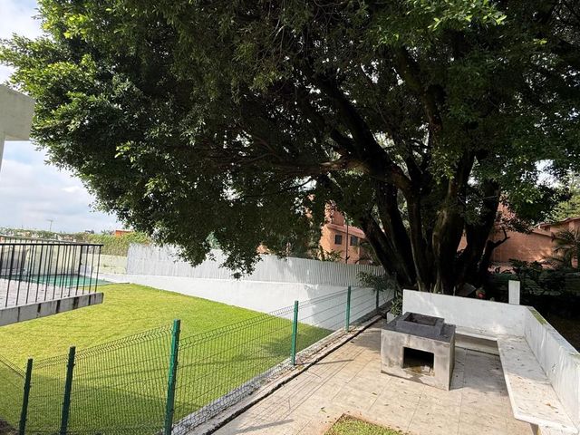 place photo 62