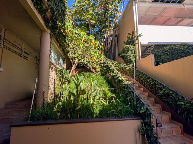 place photo 54