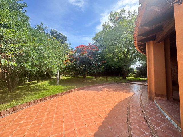 place photo 46