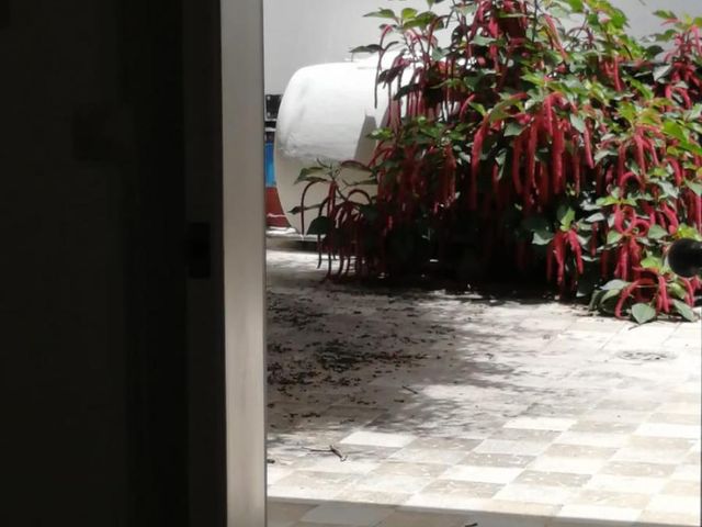 place photo 41