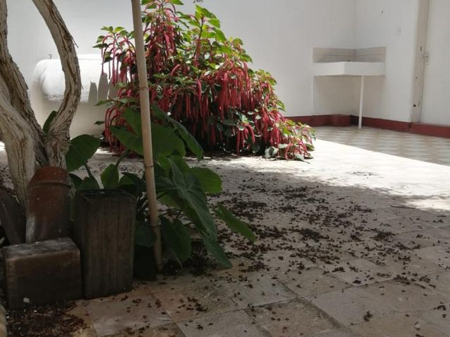 place photo 42