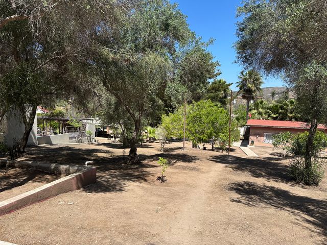 place photo 11