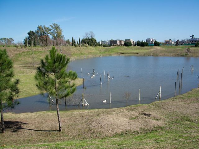 place photo 41