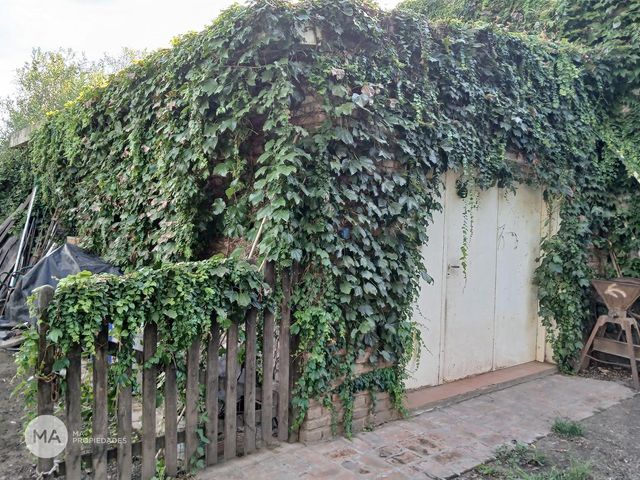 place photo 37