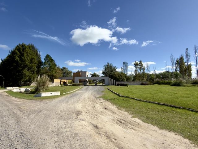 place photo 46