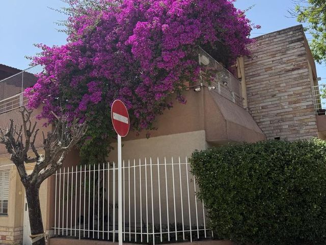 place photo 42
