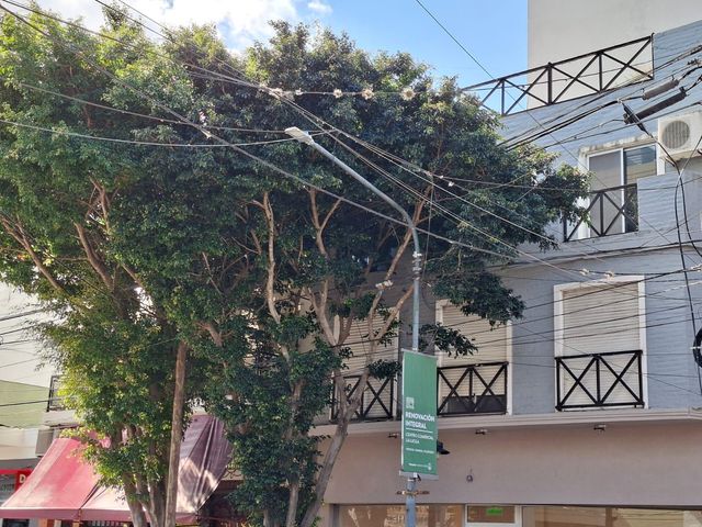 place photo 16