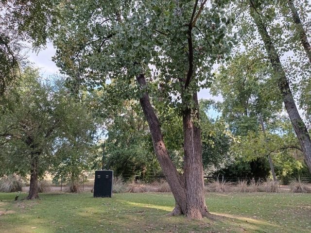 place photo 42