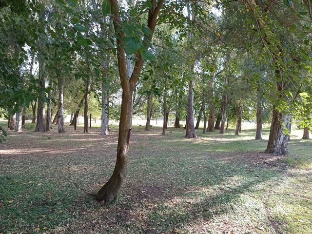 place photo 34