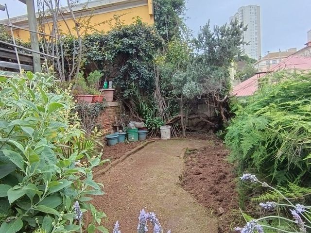 place photo 34