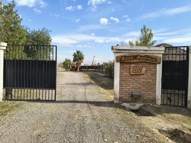 place photo 21