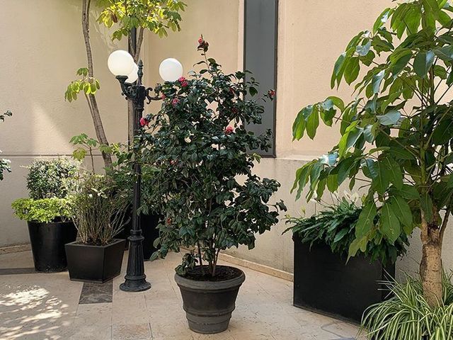 place photo 27