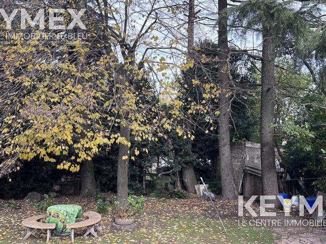 place photo 31