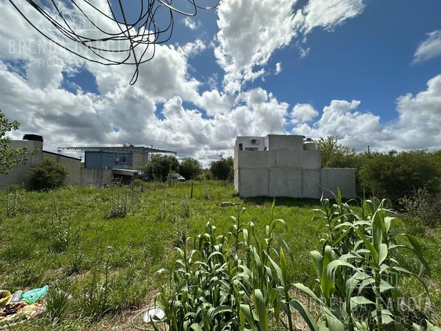 place photo 11