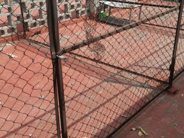 place photo 21