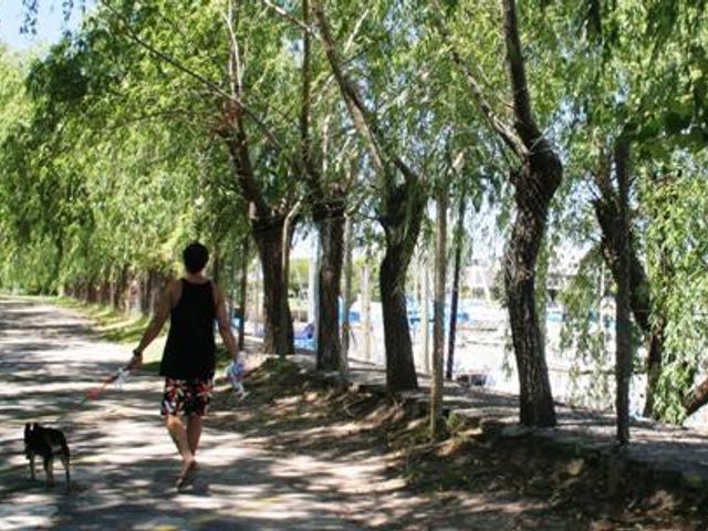 place photo 34