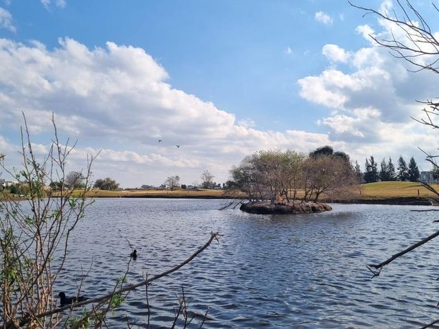 place photo 55