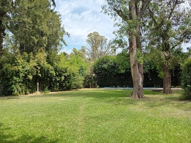 place photo 34