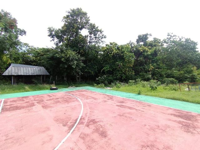 place photo 17