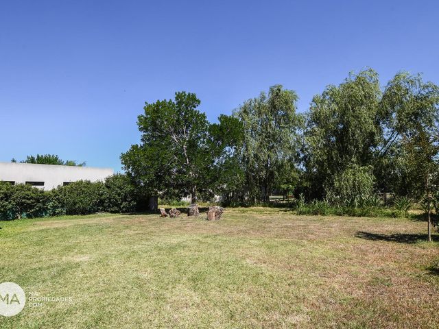 place photo 24