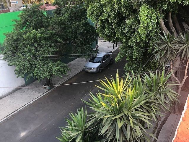 place photo 28