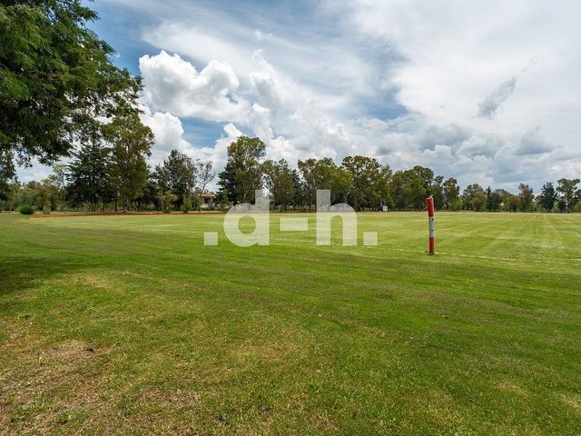 place photo 45