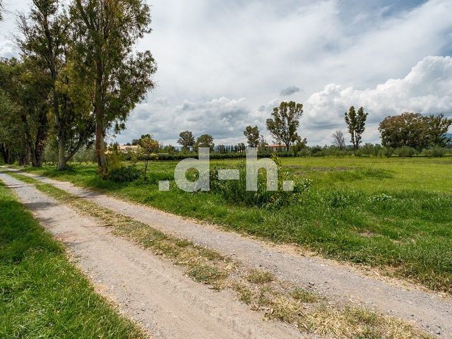 place photo 42