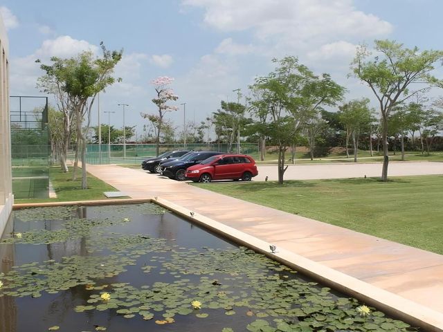 place photo 47