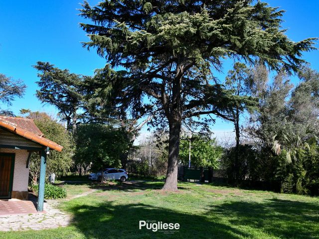 place photo 10
