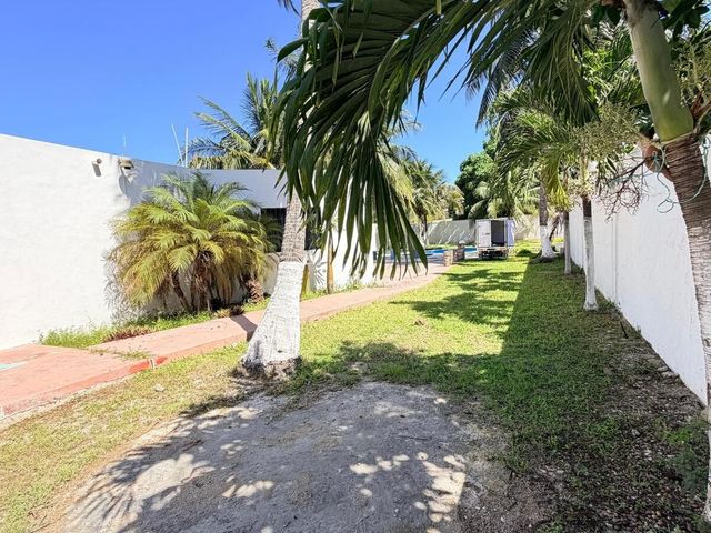 place photo 16