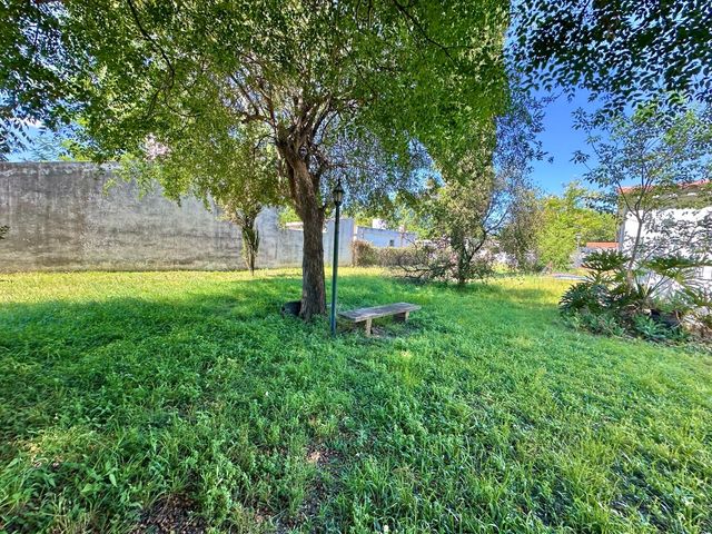 place photo 37