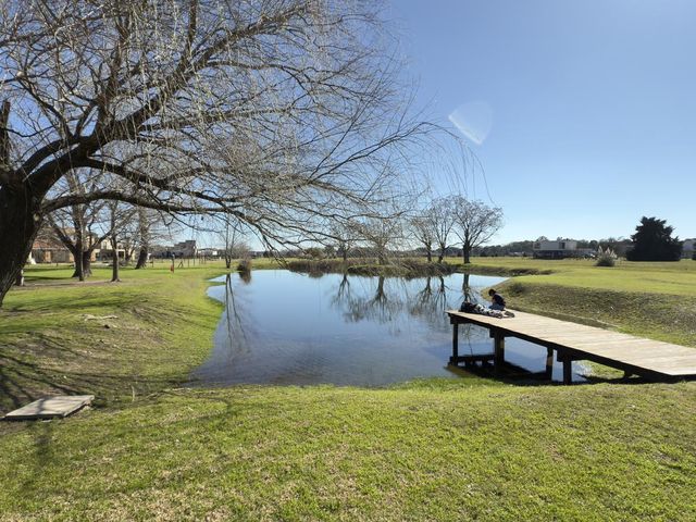 place photo 42