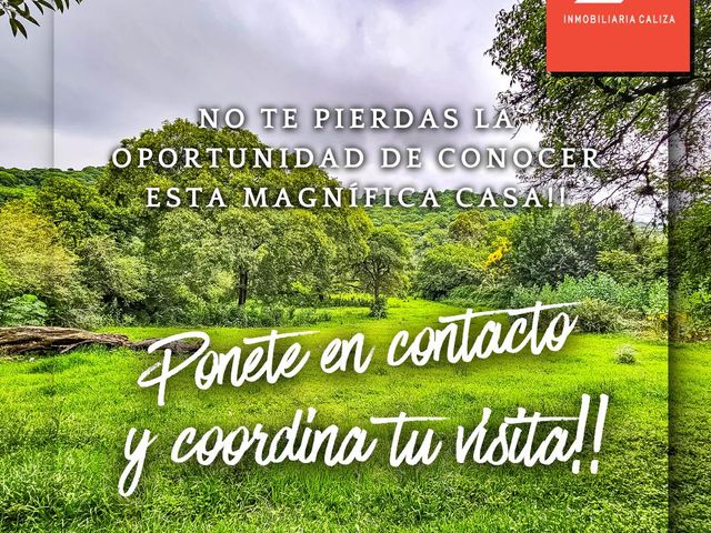 place photo 63