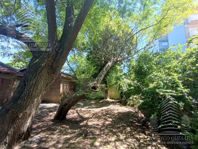 place photo 43