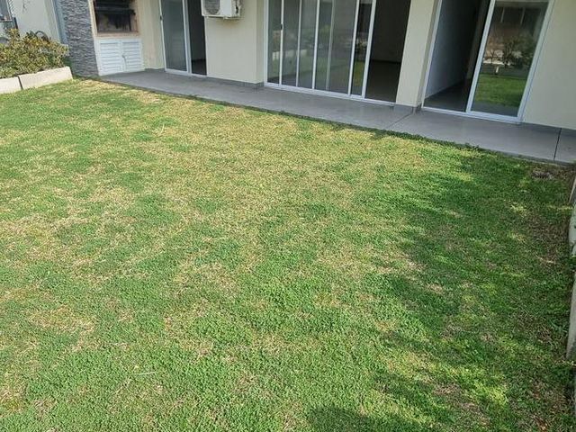 place photo 42