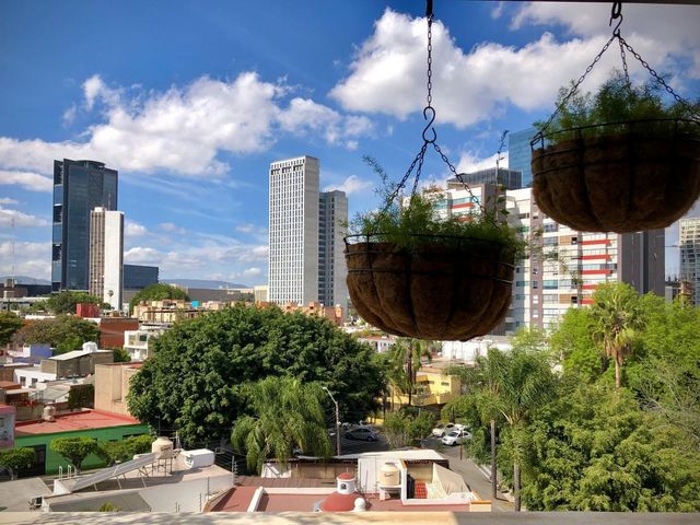 place photo 23